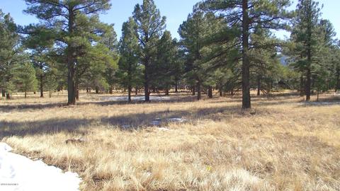 2625 Lazy E Rd, Williams, AZ 86046 photo 3