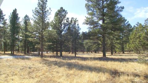 2625 Lazy E Rd, Williams, AZ 86046 photo 1