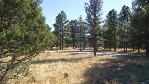 2625 Lazy E Rd, Williams, AZ 86046 photo 5