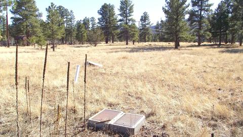 2571 Lazy E Rd, Williams, AZ 86046 photo 2