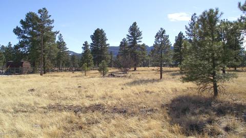 2571 Lazy E Rd, Williams, AZ 86046 photo 3