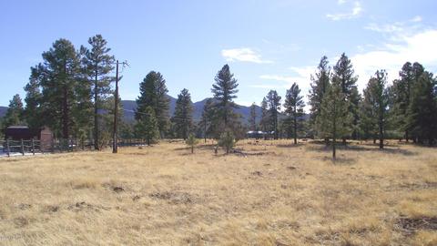 2571 Lazy E Rd, Williams, AZ 86046 photo 4
