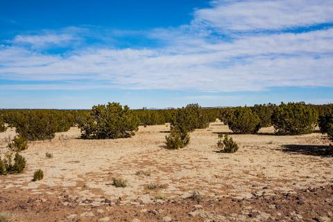 13416 Howard Mesa Loop, Williams, AZ 86046 photo 6