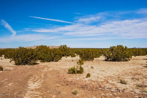 13416 Howard Mesa Loop, Williams, AZ 86046 photo 5
