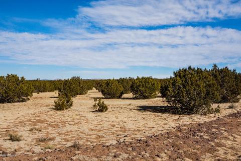 13416 Howard Mesa Loop, Williams, AZ 86046 photo 7