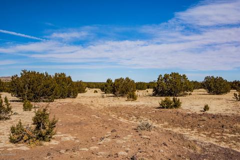 13416 Howard Mesa Loop, Williams, AZ 86046 photo 3