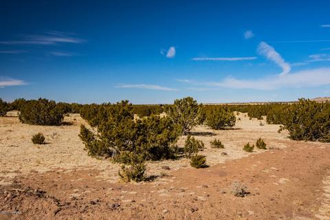 13416 Howard Mesa Loop, Williams, AZ 86046 photo 4