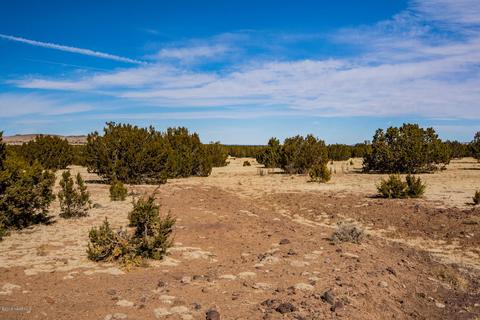 13416 Howard Mesa Loop, Williams, AZ 86046 photo 2