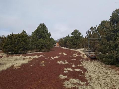 1402 E Barbara Rd, Williams, AZ 86046 photo 8