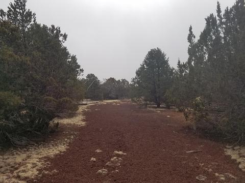 1402 E Barbara Rd, Williams, AZ 86046 photo 2