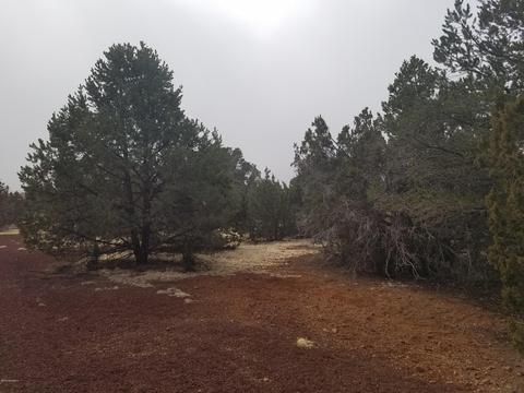 1402 E Barbara Rd, Williams, AZ 86046 photo 3