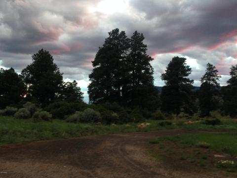 8955 Beasley Rd, Flagstaff, AZ 86004 photo 22