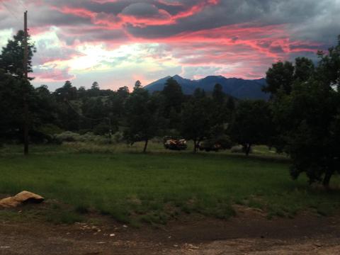8955 Beasley Rd, Flagstaff, AZ 86004 photo 21
