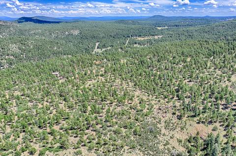 1694 Canyon View Loop, Williams, AZ 86046 photo 15