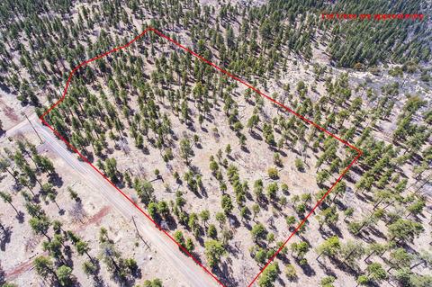 1694 Canyon View Loop, Williams, AZ 86046 photo 16