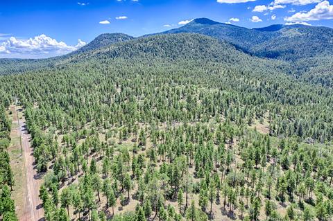 1694 Canyon View Loop, Williams, AZ 86046 photo 14