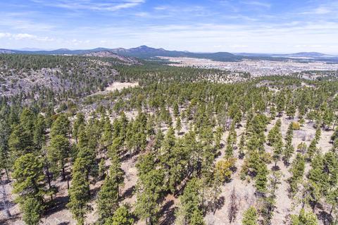 1694 Canyon View Loop, Williams, AZ 86046 photo 18