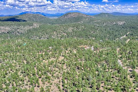 1694 Canyon View Loop, Williams, AZ 86046 photo 9
