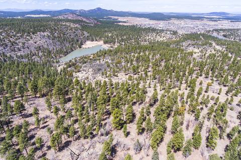 1694 Canyon View Loop, Williams, AZ 86046 photo 17