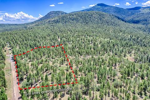 1694 Canyon View Loop, Williams, AZ 86046 photo 8