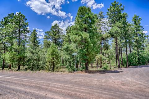 1694 Canyon View Loop, Williams, AZ 86046 photo 2