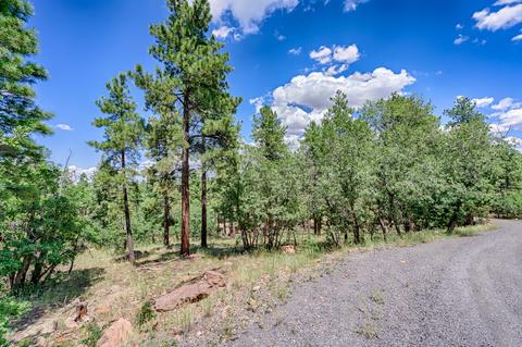 1694 Canyon View Loop, Williams, AZ 86046 photo 5
