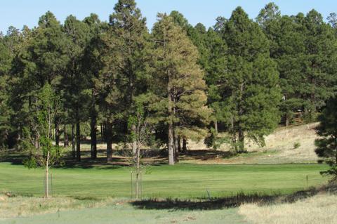 4025 E Broken Rock Loop, Flagstaff, AZ 86004 photo 64