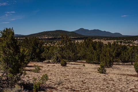 1574 E Barbara Rd, Williams, AZ 86046 photo 6