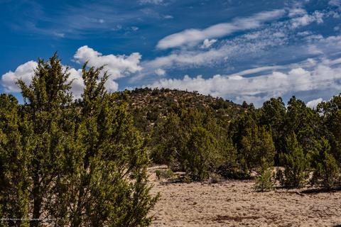 1574 E Barbara Rd, Williams, AZ 86046 photo 5