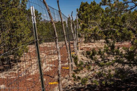 1574 E Barbara Rd, Williams, AZ 86046 photo 4