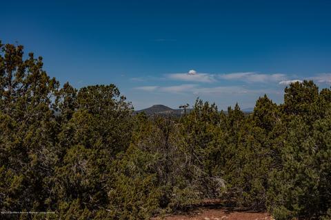 1574 E Barbara Rd, Williams, AZ 86046 photo 2