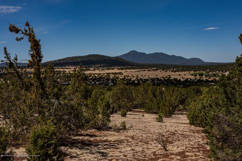 1574 E Barbara Rd, Williams, AZ 86046 photo 1