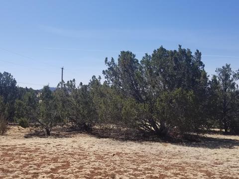 1956 E Whitehall Dr, Williams, AZ 86046 photo 5
