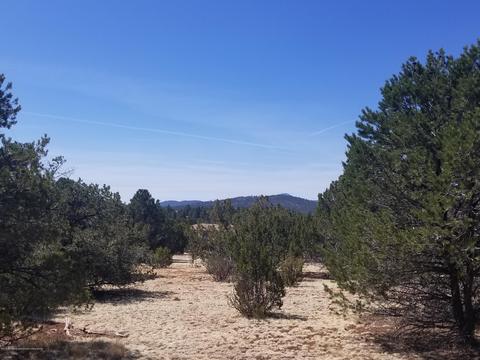 1956 E Whitehall Dr, Williams, AZ 86046 photo 1