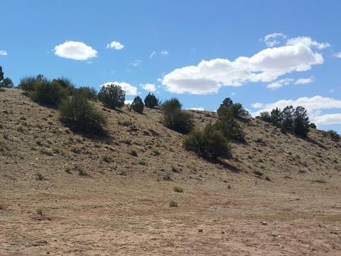 6046 Black Burro Loop, Williams, AZ 86046 photo 6