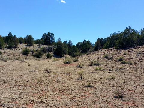 6046 Black Burro Loop, Williams, AZ 86046 photo 3
