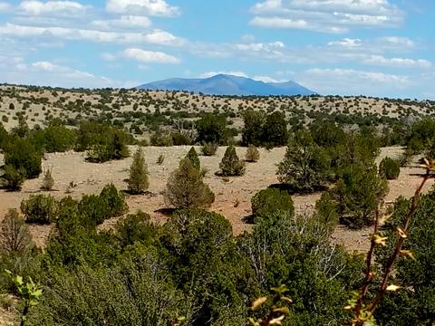 6046 Black Burro Loop, Williams, AZ 86046 photo 1