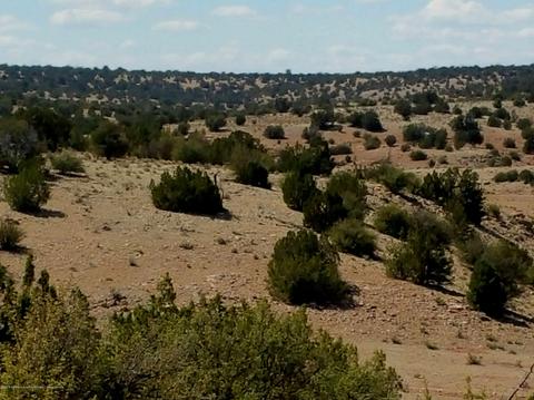 6046 Black Burro Loop, Williams, AZ 86046 photo 7