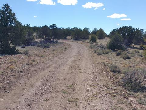 6046 Black Burro Loop, Williams, AZ 86046 photo 9