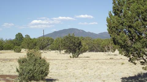 1729 E Prospect Ln, Williams, AZ 86046 photo 8