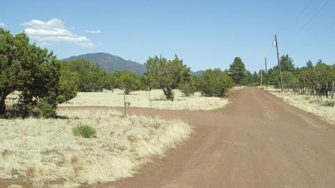 1729 E Prospect Ln, Williams, AZ 86046 photo 7