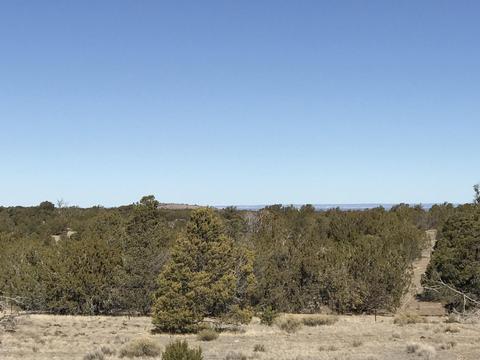 3146 Whitetail Loop, Williams, AZ 86046 photo 46