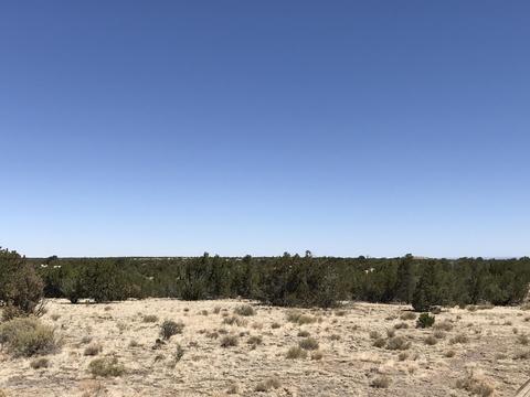 3146 Whitetail Loop, Williams, AZ 86046 photo 31