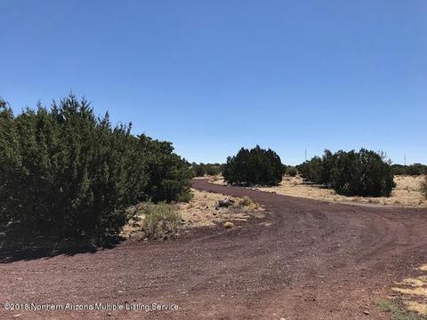 3146 Whitetail Loop, Williams, AZ 86046 photo 39