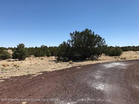 3146 Whitetail Loop, Williams, AZ 86046 photo 34