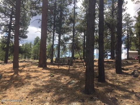 7716 E Long Bow Dr, Williams, AZ 86046 photo 6