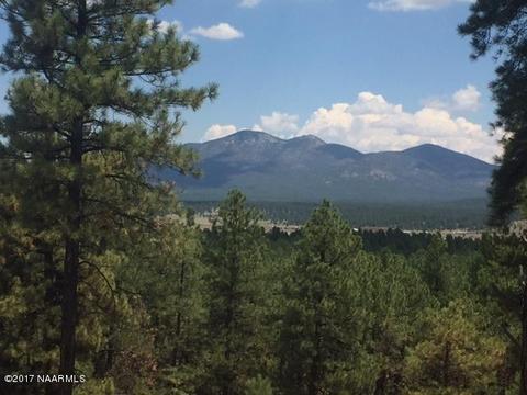 7716 E Long Bow Dr, Williams, AZ 86046 photo 1