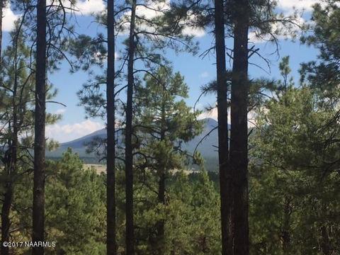 7716 E Long Bow Dr, Williams, AZ 86046 photo 5