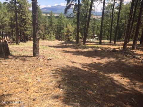 7716 E Long Bow Dr, Williams, AZ 86046 photo 3
