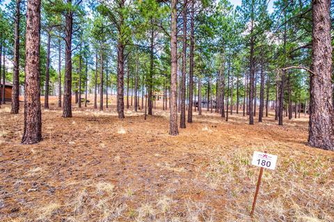 3685 Lariat Loop, Flagstaff, AZ 86005 photo 16